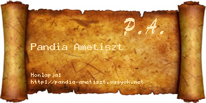 Pandia Ametiszt névjegykártya